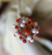 Juletræ 7 - Krystal med ravfarvet kerne og rødt/hvidt